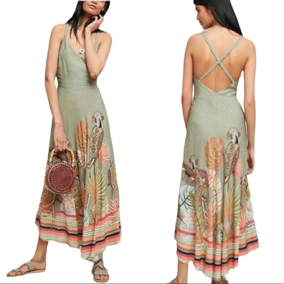 Anthropologie Dresses & Skirts - 🌴Anthropologie Farm Rio Toucan Maxi Dress L